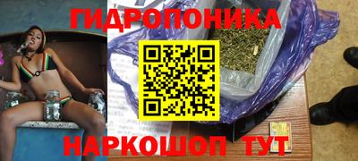 крисы Обь