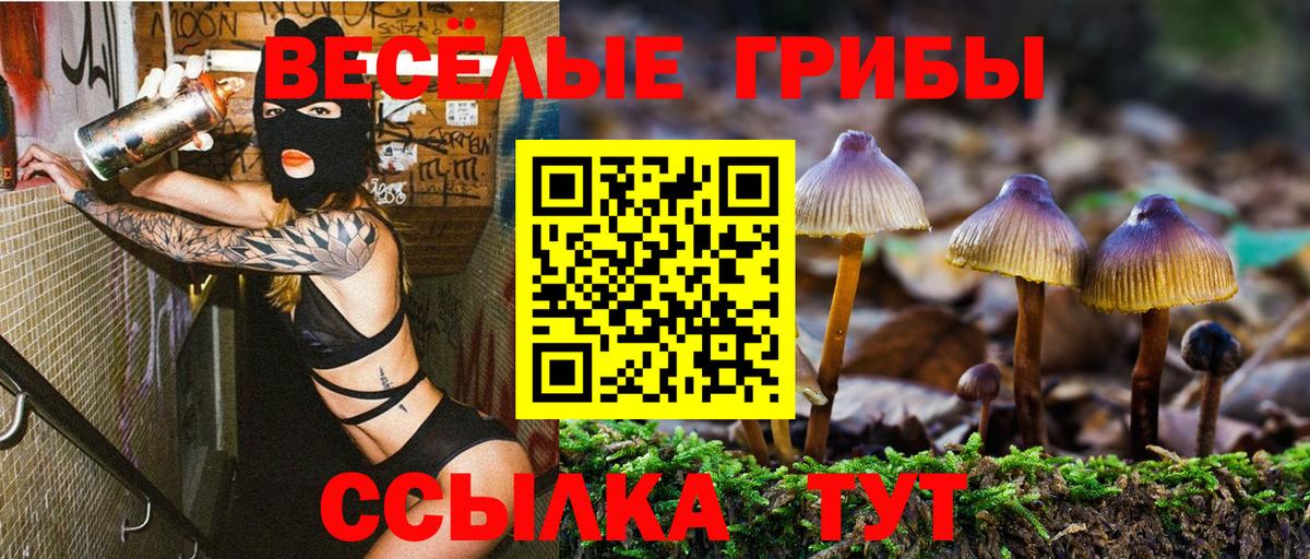 Тольятти  Псилоцибиновые грибы прущие грибы  Вход с VPN 